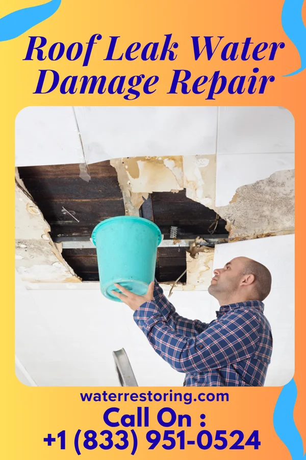 Roof Leak Water Damage Repair in South Hutchinson, KS
